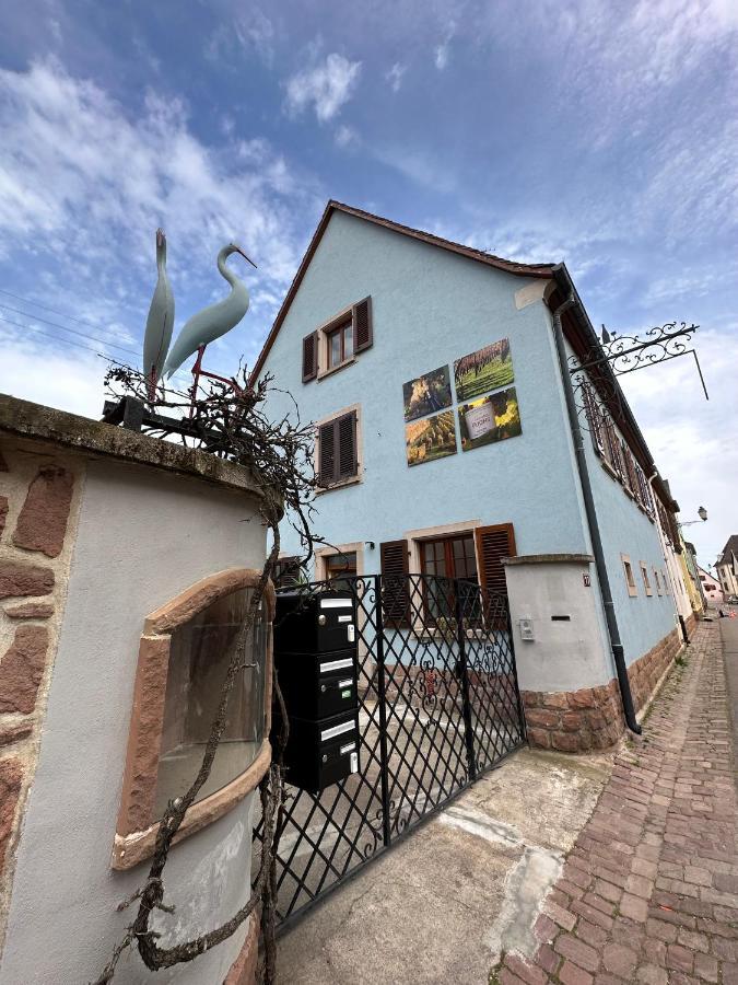 Charmant Et Chaleureux Gite Dans Le Vignoble Sigolsheim Exterior foto